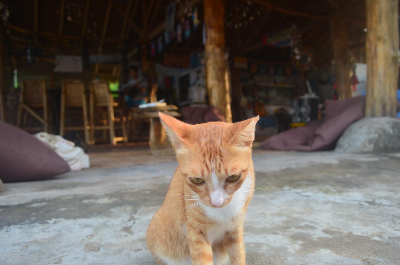 Gili Meno Eco Hostel Exteriör bild